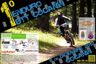 Cartel-Cocañín-2012