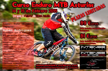 cartel-curso-asturias15